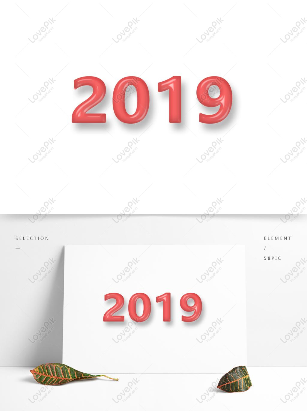 Номер 2019