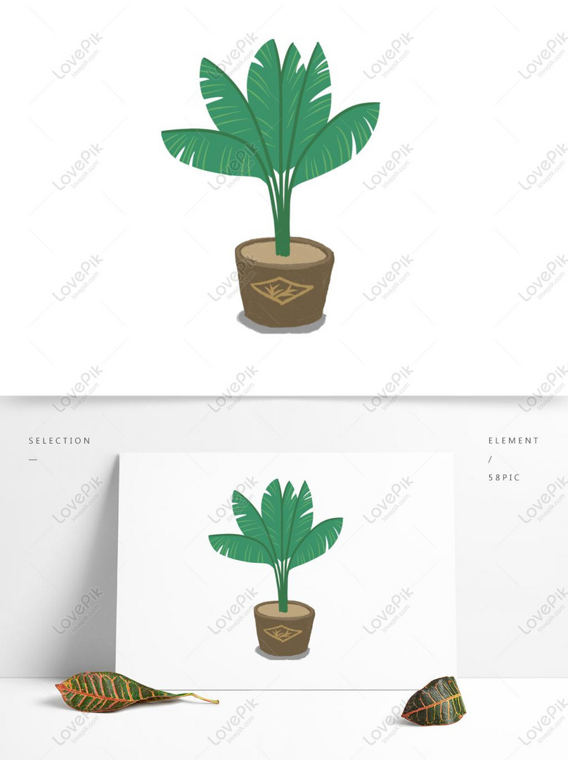 Cartoon Green Banana Leaf Bonsai Original Element PNG Free Download PSD  images free download_1369 × 1024 px - Lovepik