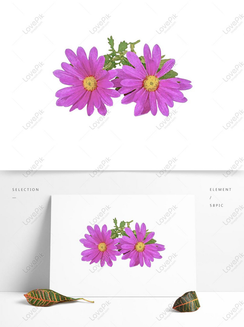 Acuarelas Pintadas A Mano De Flores Moradas Elementos Comercial PNG  Imágenes Gratis - Lovepik