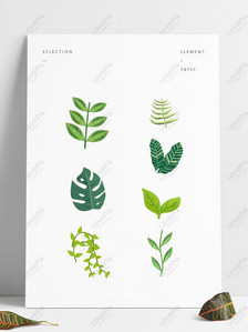 7 hijau tanaman merambat elemen tanaman mengatur ilustrasi Grafik