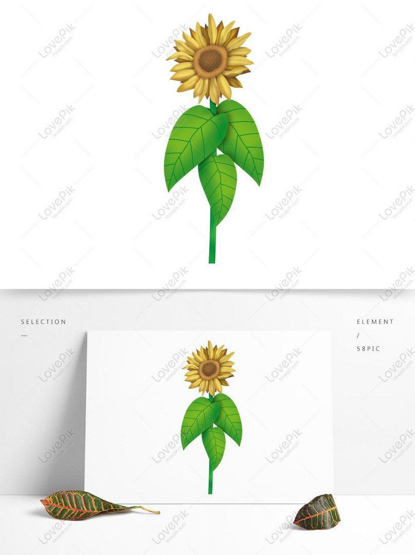 Hand Drawn Cartoon Sunflower Original Elements PNG Image PSD images free  download_1369 × 1024 px - Lovepik