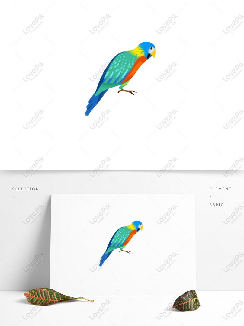 Kartun Ilustrasi Desain Burung Beo Berwarna Warni Gambar Unduh