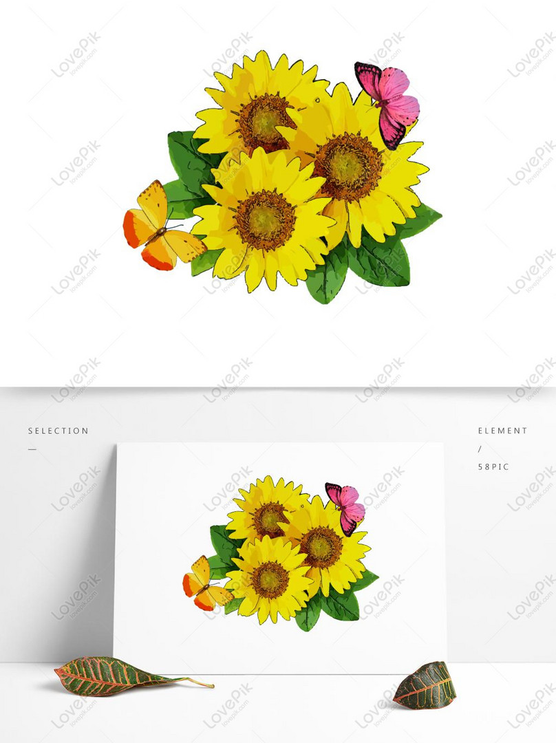 Elemento Mariposa Girasol PNG Imágenes Gratis - Lovepik