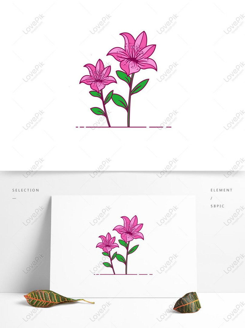 Vectơ miễn phí-Phim Hoạt Hình Vẽ Tay Hoa Lily hình ảnh-Đồ họa ...