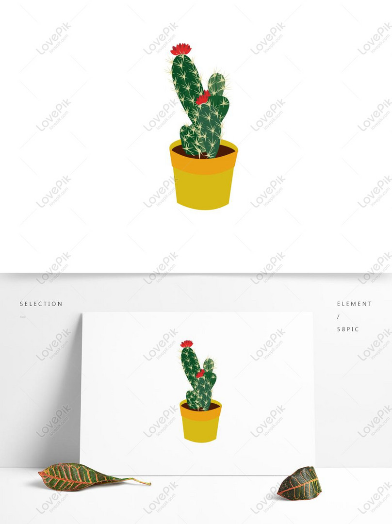 Flor, Cactus, Pintados à Mão PNG, Gráfico De Vetor De Flores De