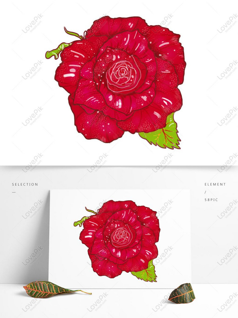  Gambar  Tato  Mawar  Merah GAMBAR  BUNGA 