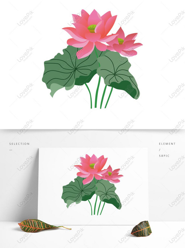 Elemen Vektor Bunga Lotus Daun Teratai Gambar Unduh Gratis Grafik