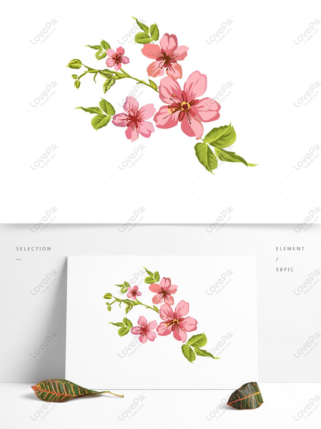 손으로 그려진 된 꽃 수채화 바람 벚꽃 요소 일러스트 Png 및 벡터 이미지, 무료 다운로드 - Lovepik