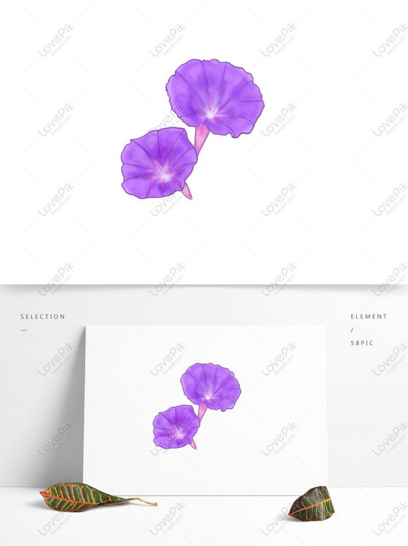 花びらセットイラストペチュニア花びら紫朝顔イメージ グラフィックス Id Prf画像フォーマットpsd Jp Lovepik Com
