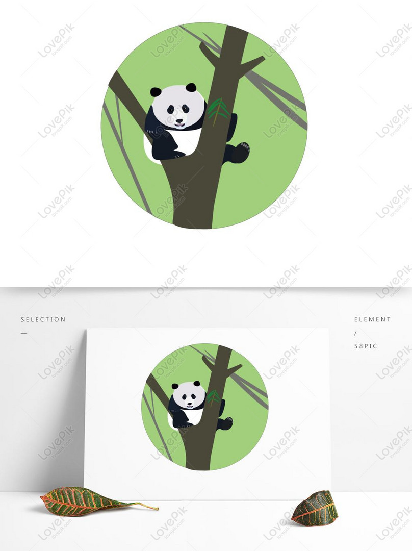 Panda fofo png