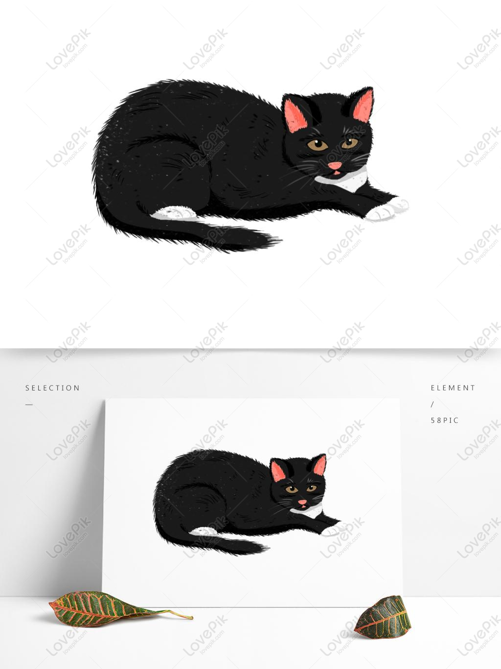 Gatinho De Halloween E Elementos De Morcego PNG Imagens Gratuitas Para  Download - Lovepik