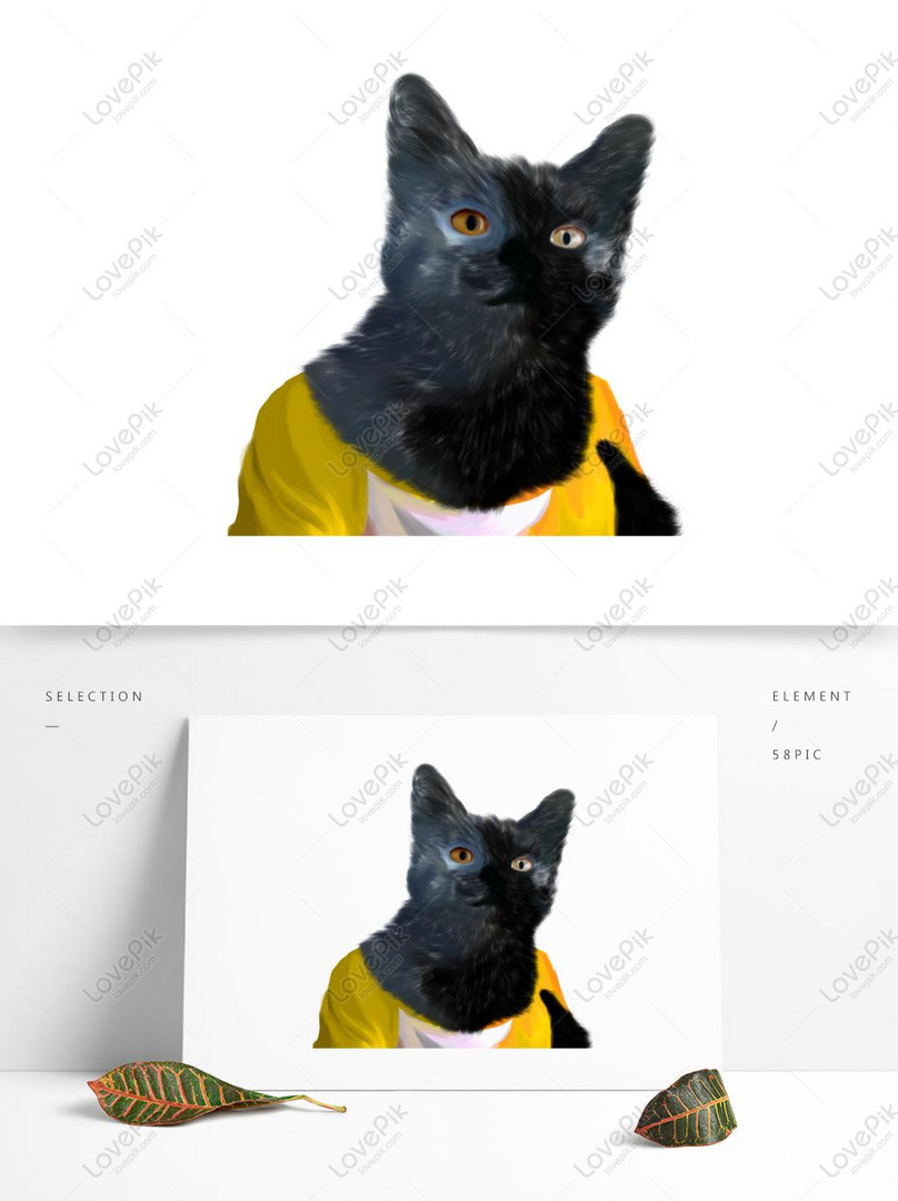 कार्टून काली बिल्ली के डिजाइन वाले कपड़े पहने चित्र  डाउनलोड_ग्राफिक्सPRFचित्र आईडी732378596_PSDचित्र  प्रारूपमुफ्त की तस्वीर