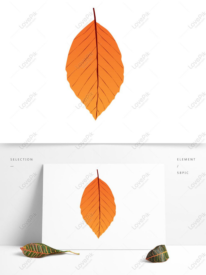 Осенний лист рисунок легкий (64 фото)