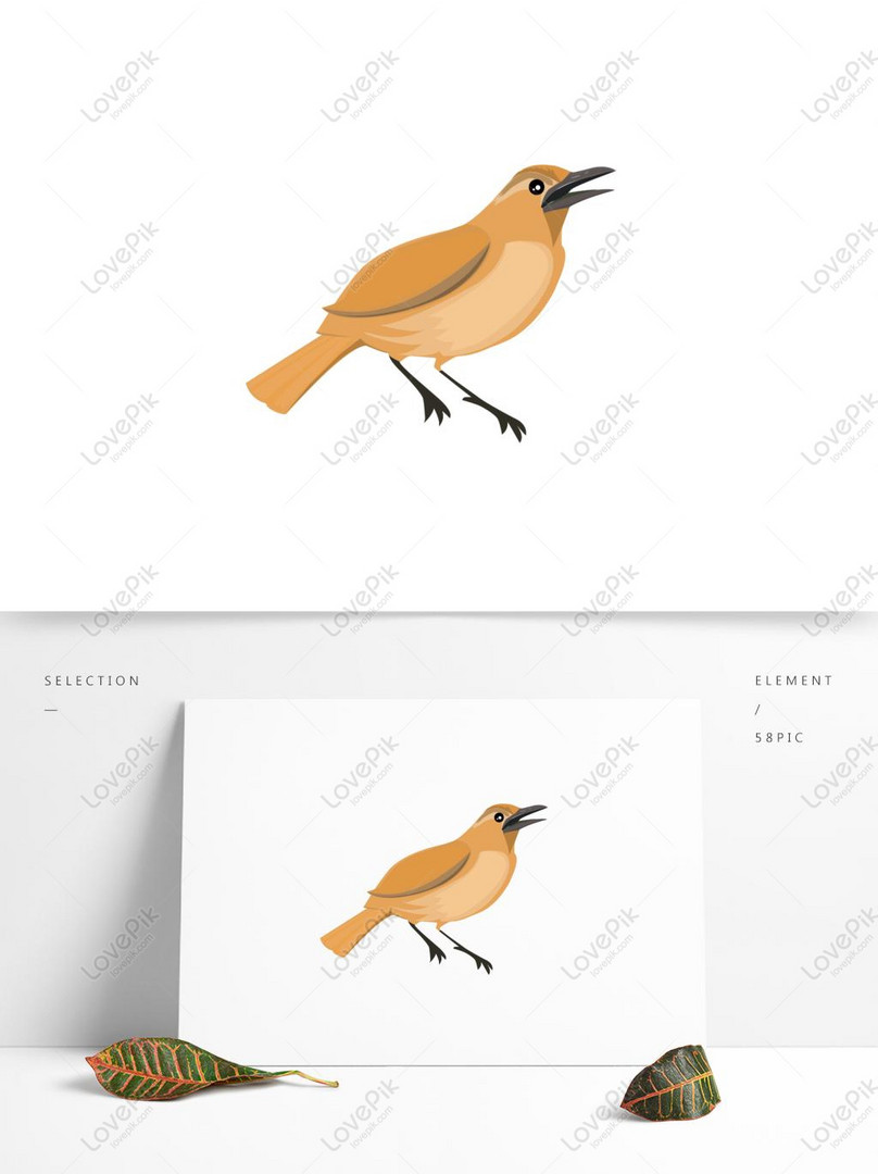 55 Gambar Hewan Burung Kartun Gratis