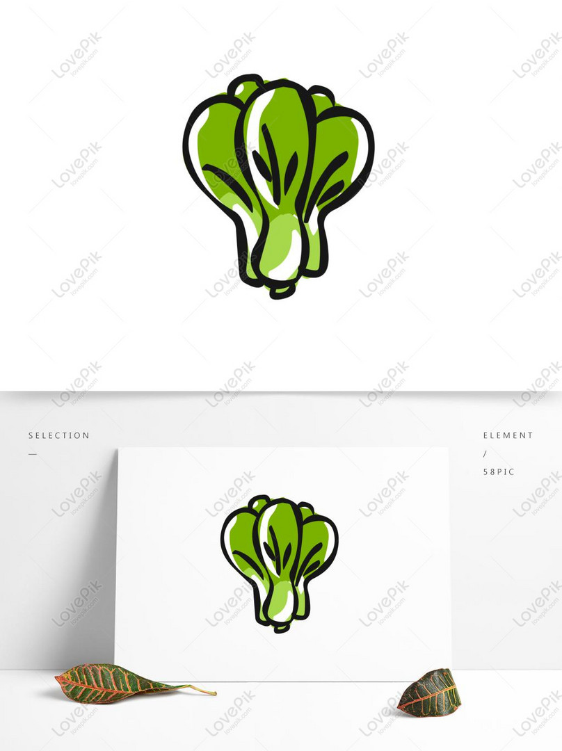 Food Elements Hand Drawn Cute Cartoon Gourmet Cabbage PNG Free ...