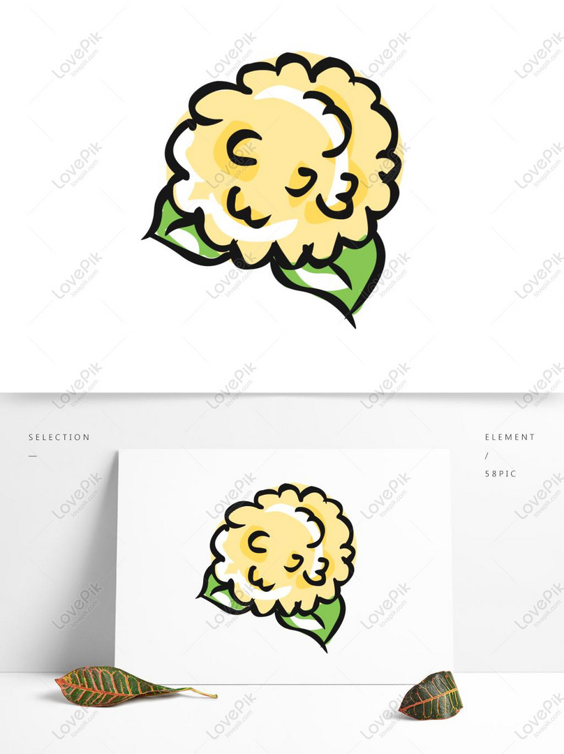 Food Elements Hand Drawn Cute Cartoon Vegetable Cauliflower PNG Transparent  Image AI images free download_1369 × 1024 px - Lovepik