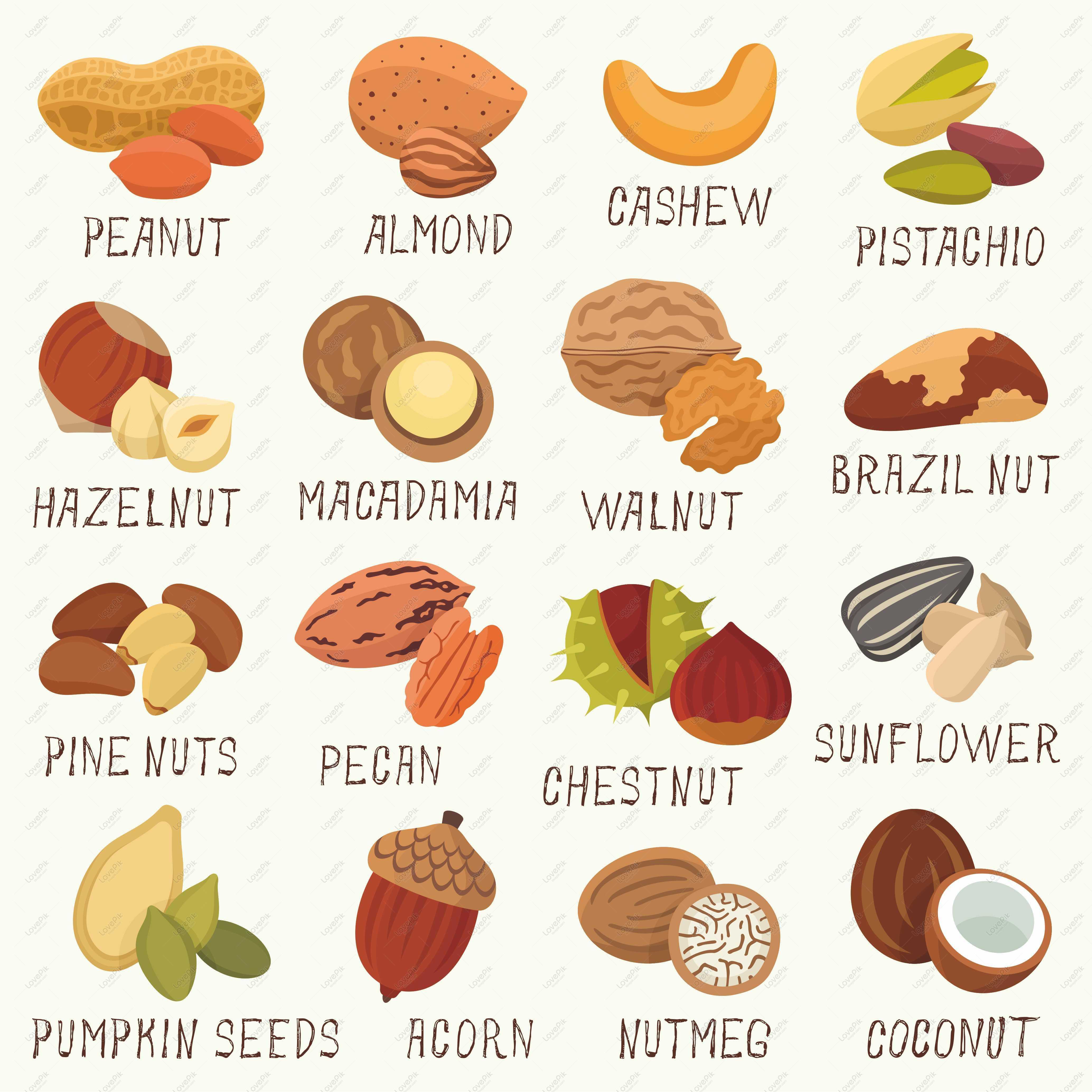 Как переводится nut