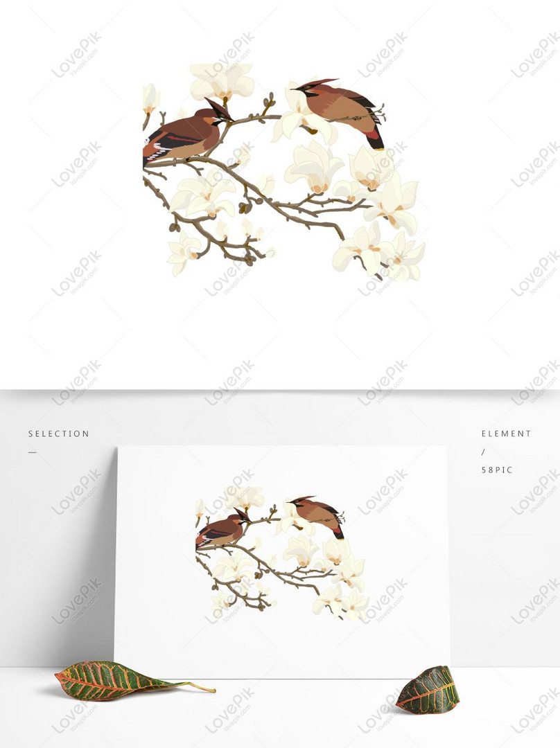 白色玉蘭花枝上的小鳥卡通元素psd美工圖案免費下載 素材分辨率1369 1024px Lovepik Id