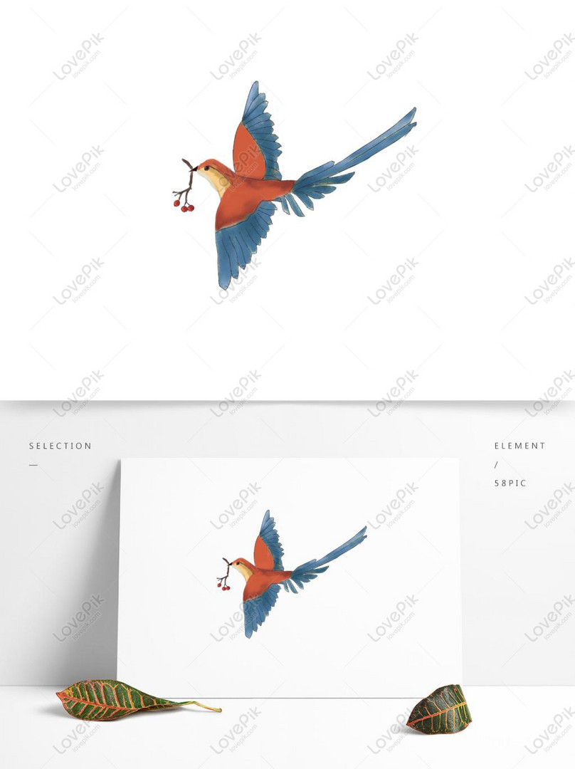  Gambar  Burung  Warna Warni Kartun  Gambar  Burung 
