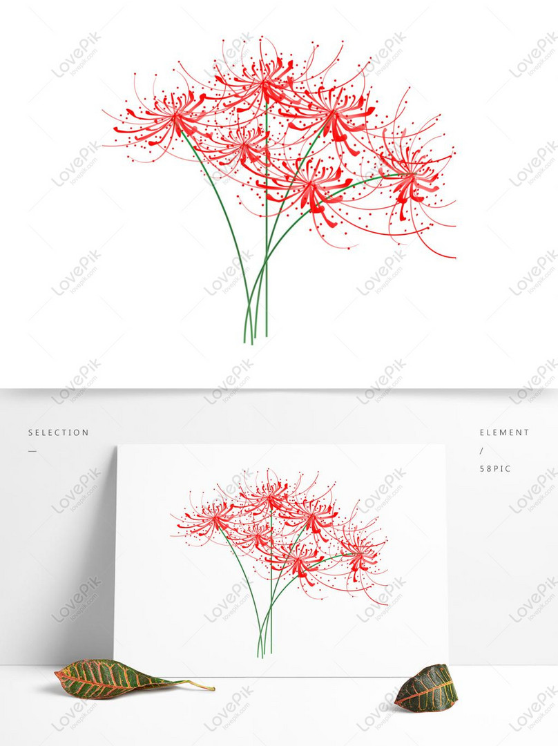 手描きの他の花 花 花 マンダラの花イメージ グラフィックス Id