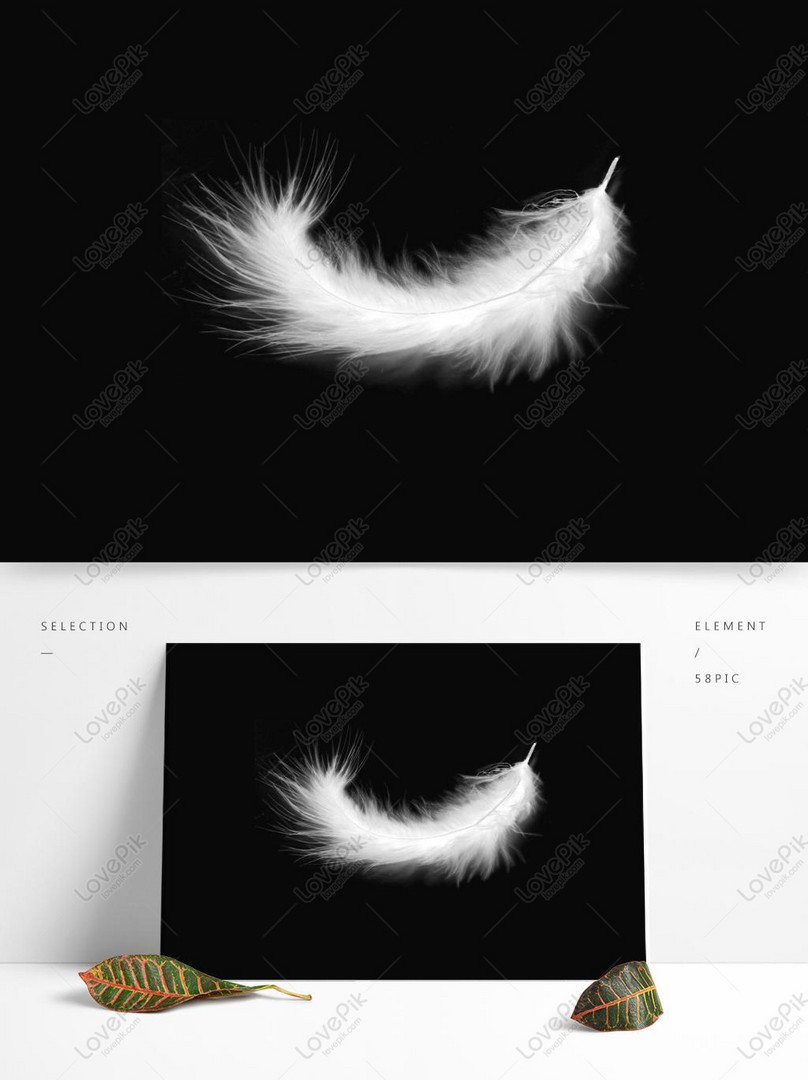 手描きの白い羽飾りイメージ グラフィックス Id Prf画像フォーマットpsd Jp Lovepik Com