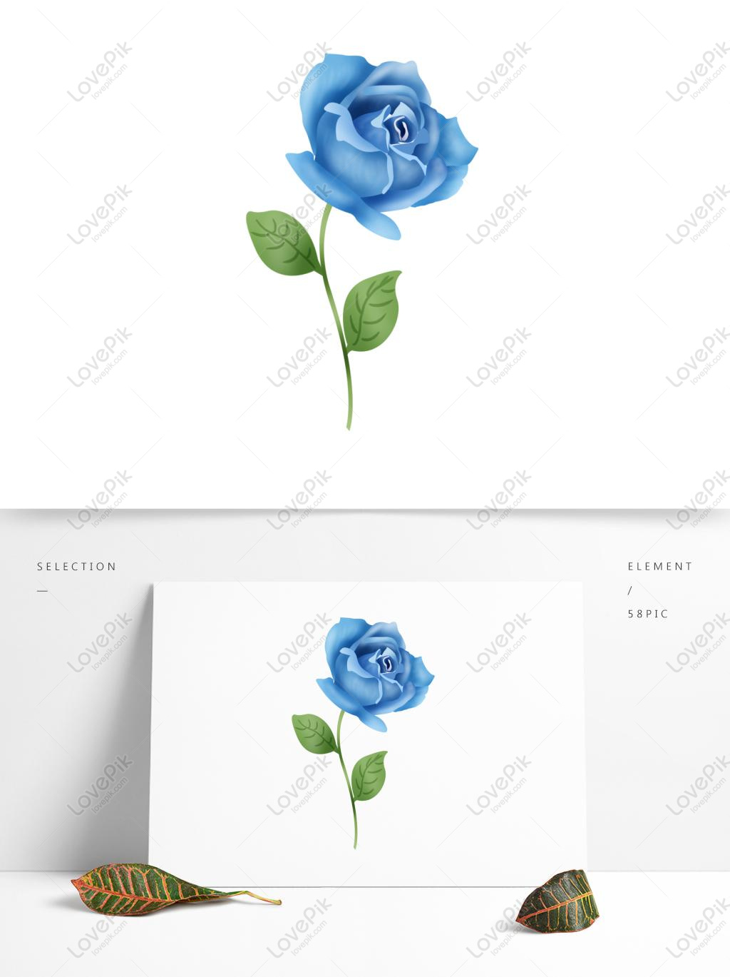 Vektor Bunga Mawar Biru Digambar Tangan Gambar Unduh Gratis