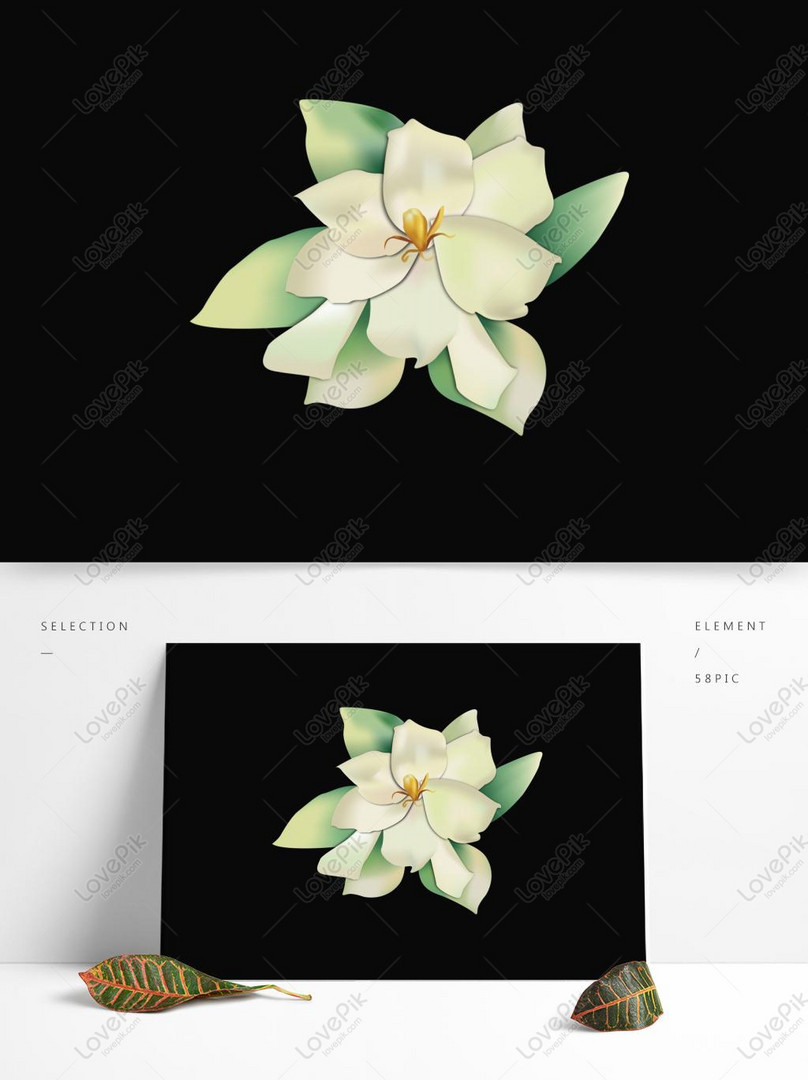 Vector Dibujado A Mano Viento Hermosa Gardenia Fresca Flores Dis PNG  Imágenes Gratis - Lovepik