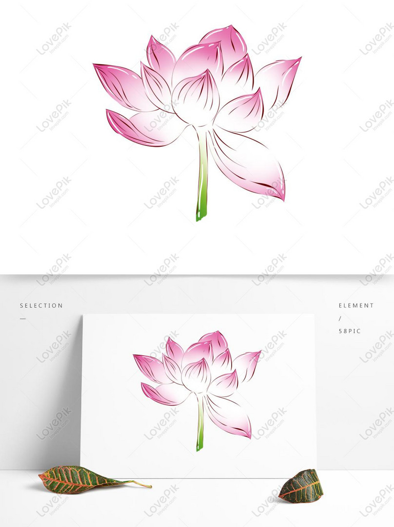 Hand Painted Flowers Small Fresh Plants Pink Lotus Commercial PNG ...