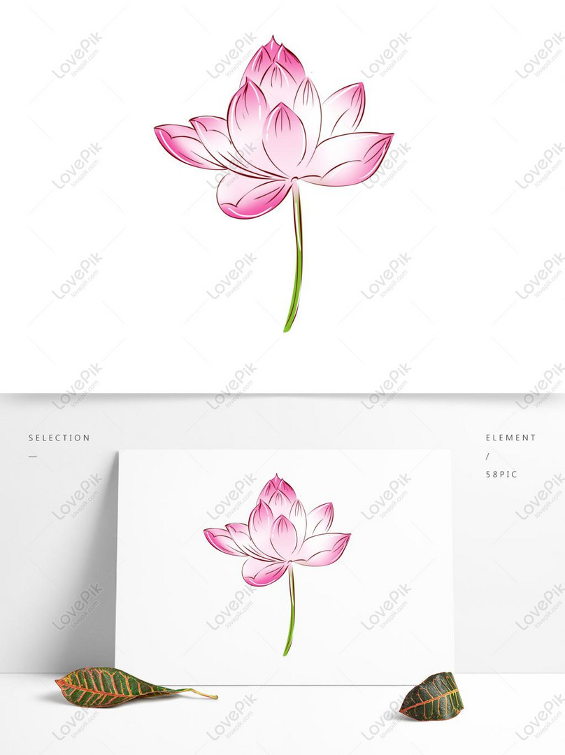 Hand Painted Flower Small Fresh Plant Pink Lotus PNG Free Download ...