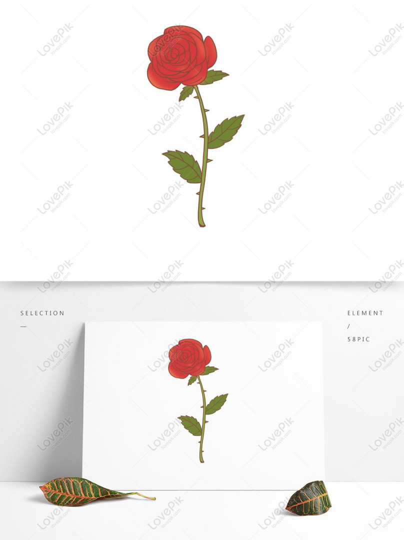 Cartoon Hand Drawn Rose Red Flower PNG Transparent PSD images free  download_1369 × 1024 px - Lovepik