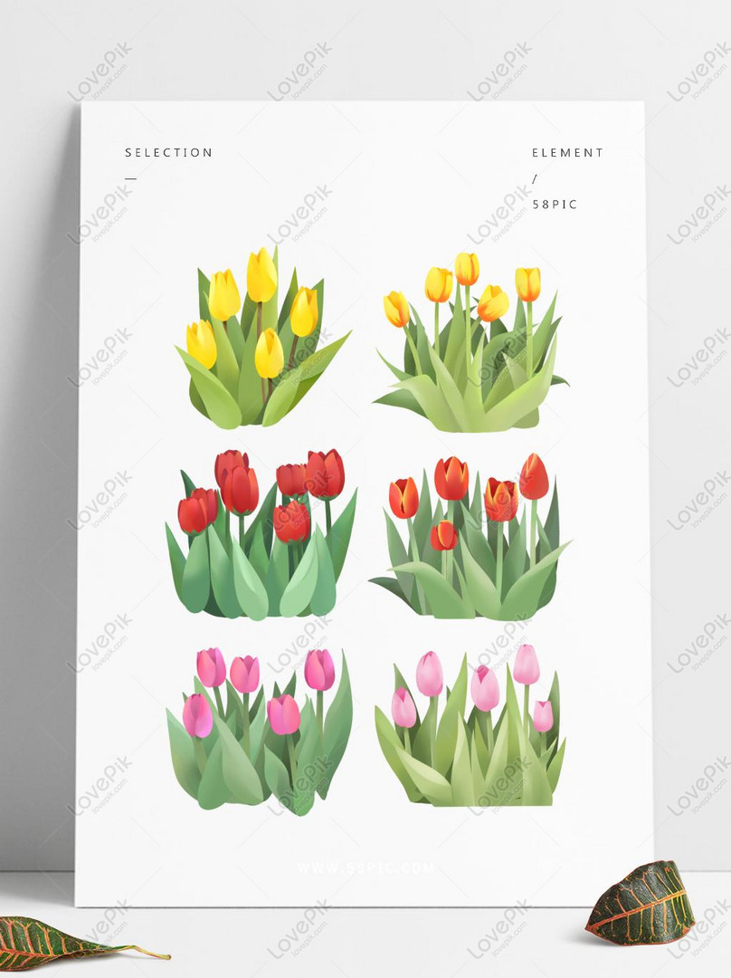 Hand Painted Original Flowers Decorative Material Tulip Dutch PNG ...