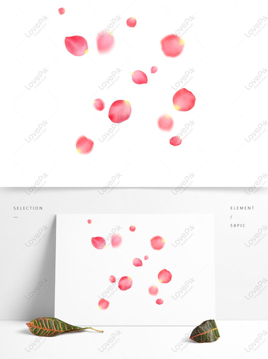 The Petals Fall Images, HD Pictures For Free Vectors Download ...