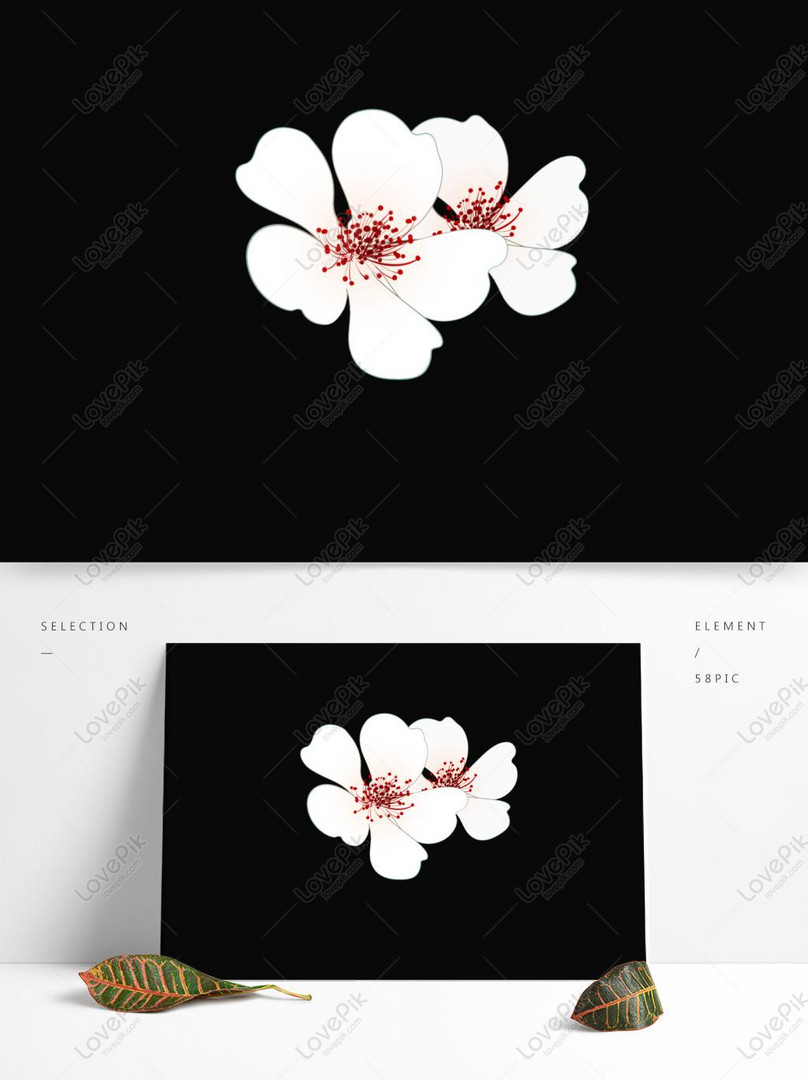Ilustrasi Desain Bunga Kecil Yang Digambar Tangan Untuk Elemen K