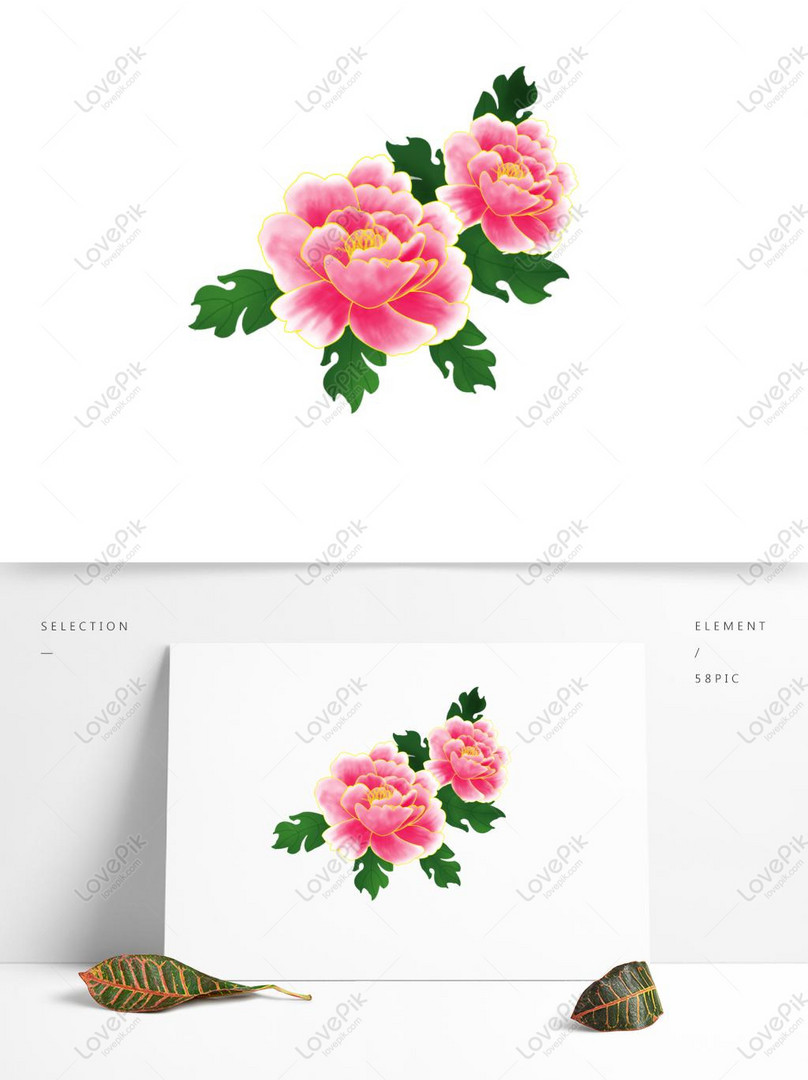 Planta Pintada A Mano Flor Rosa Peonia Pintada A Mano Flor PNG Imágenes  Gratis - Lovepik