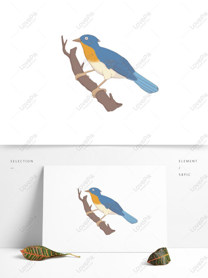 Photo De Oiseau Bleu Dessiné à La Main Disponible Pour Les