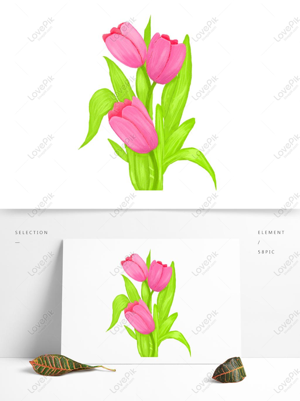 Tanaman Bunga Tulip Yang Dilukis Dengan Tangan Gambar Unduh Gratis Grafik 732719665 Format Gambar Psd Lovepik Com
