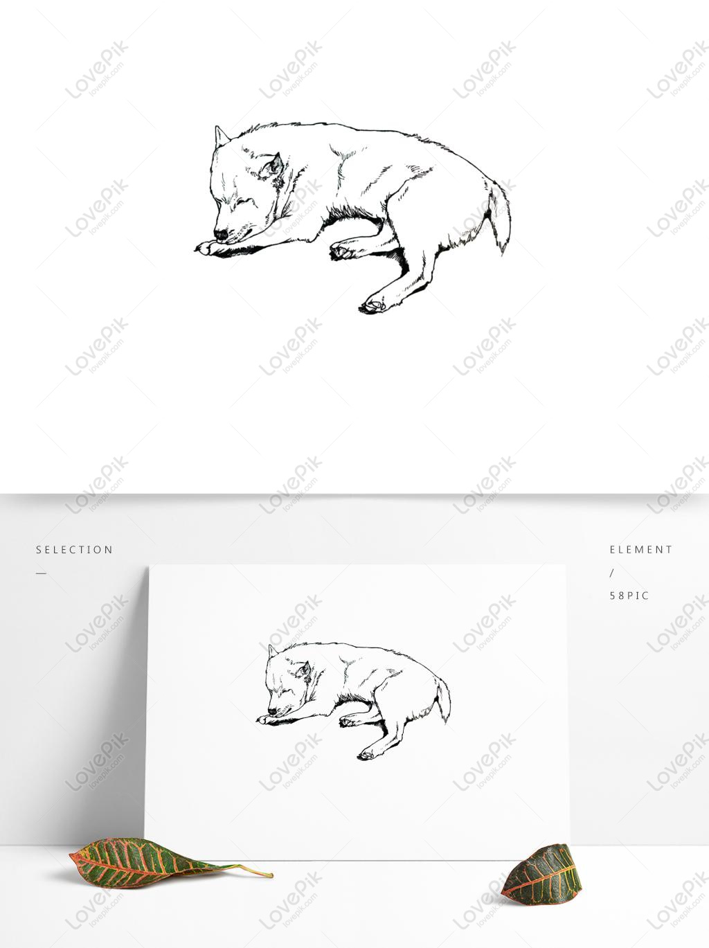 Anjing Realistis Elemen Sketsa Hewan Angin Linier Gambar Unduh