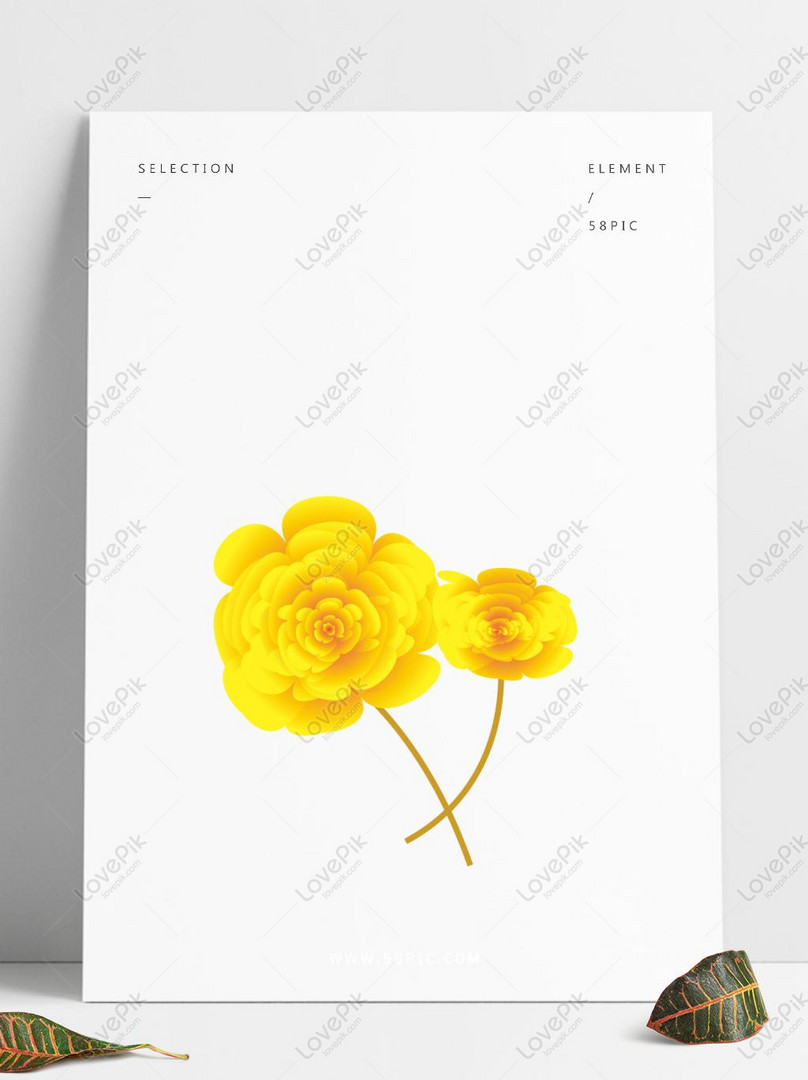 Top 101 hình ảnh hoa cúc vàng đẹp nhất