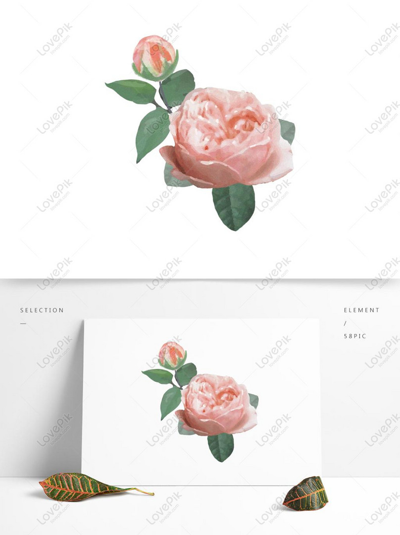 Butik Ilustrasi Realistis Yang Dilukis Dengan Tangan Bunga Mawar