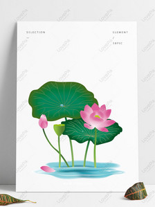Hand drawn floral lotus flower lotus leaf foliage lotus plant wa, lotus flower, foliage plants, leaf png transparent image