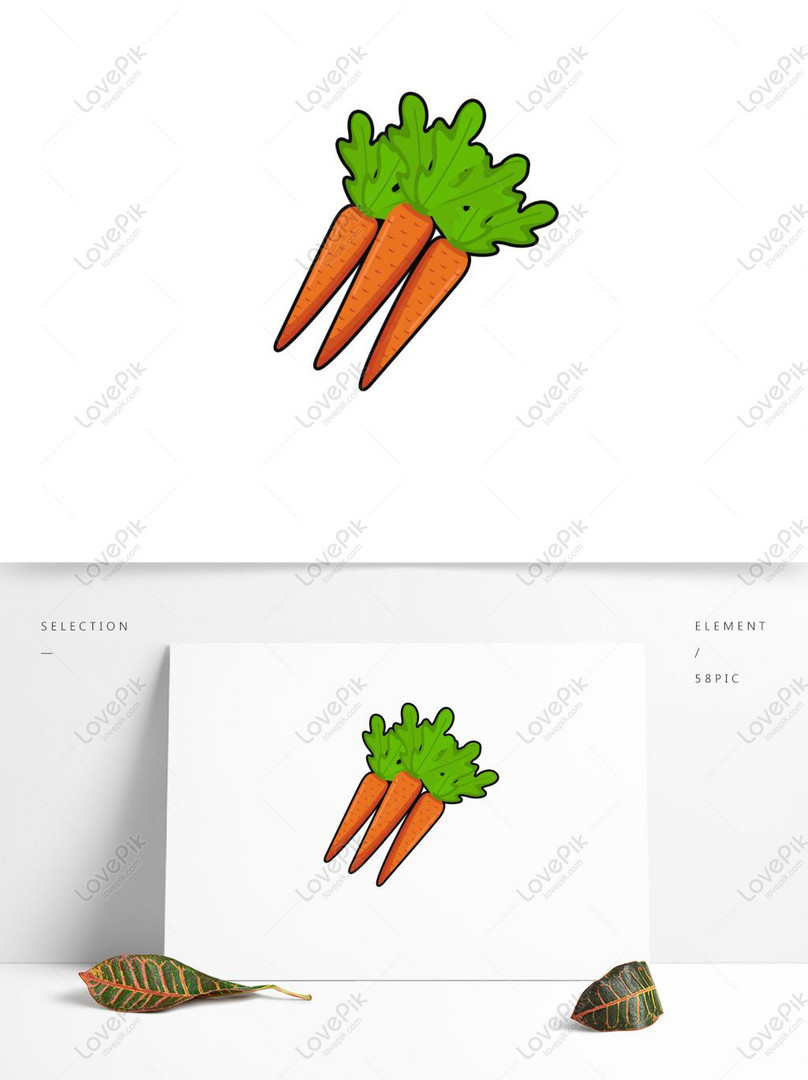 Material De Decoración De Verduras Zanahorias Frutas Y Verdura PNG Imágenes  Gratis - Lovepik