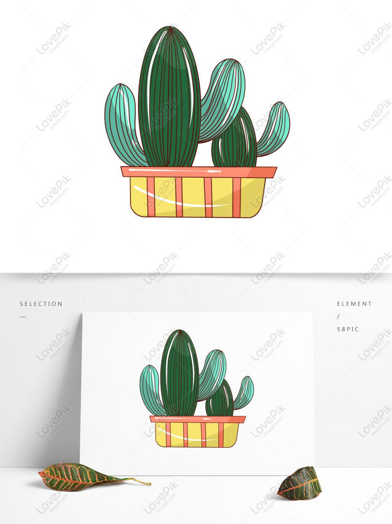 Hand Drawn Plants Flowers Cartoon Cactus PNG Hd Transparent Image PSD  images free download_1369 × 1024 px - Lovepik