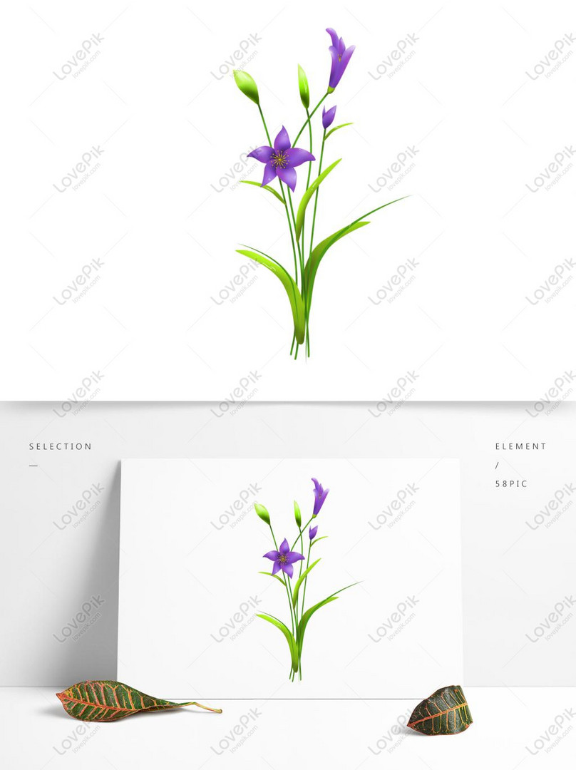 Flores De Plantas Comerciales Pintadas A Mano En Hd Orquídeas PNG Imágenes  Gratis - Lovepik