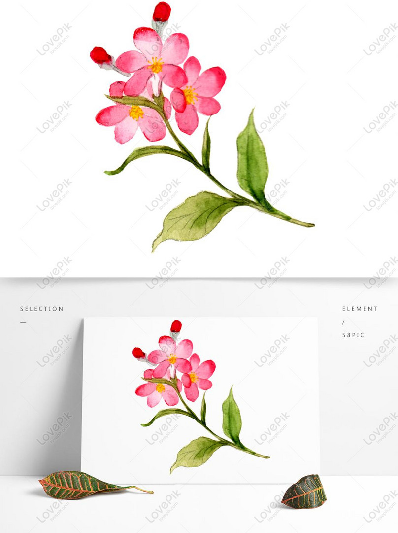 Acuarela Pintada A Mano Rosa Plantas Y Flores Elementos PNG Imágenes Gratis  - Lovepik