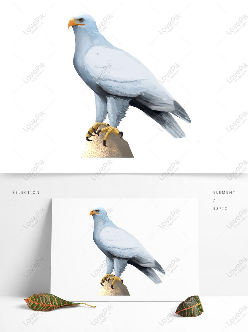Colección De Animales Hd Comercial águila Blanca PNG Imágenes Gratis -  Lovepik
