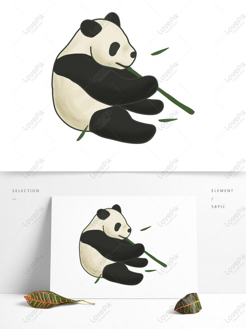 Cute Fat Panda Sitting And Eating Bamboo PNG Transparent Image PSD ...