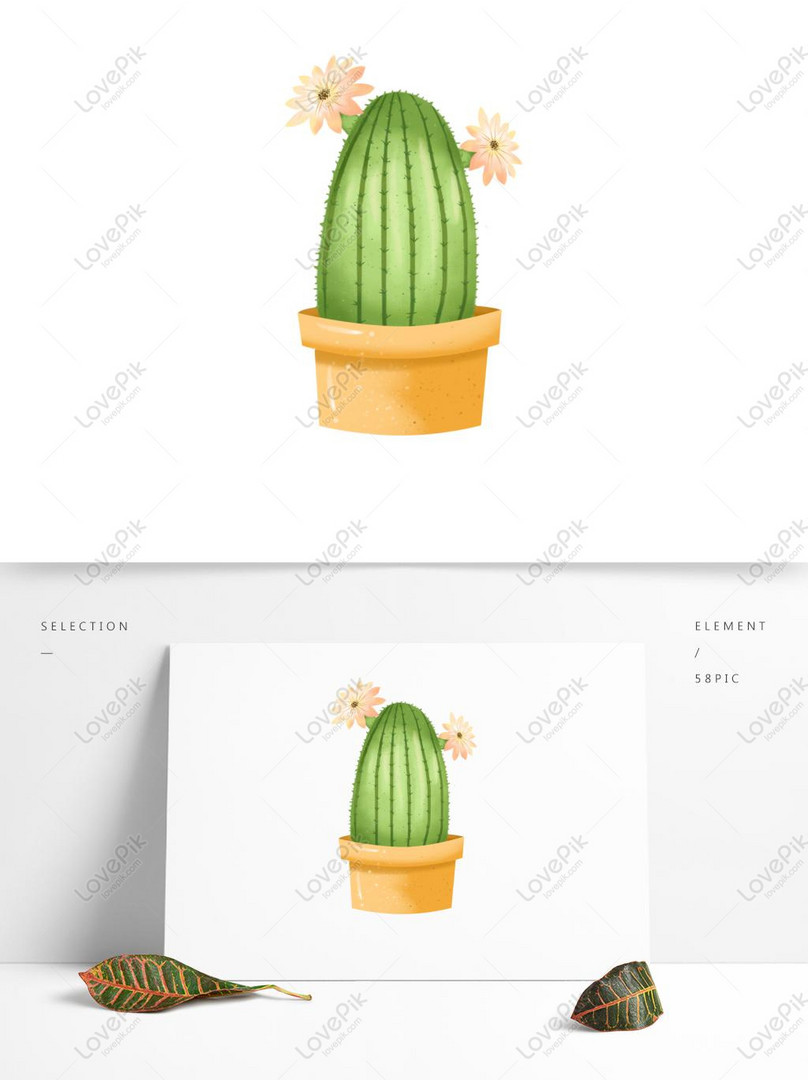 Hand Drawn Cactus PNG Transparent, Hand Drawn Cartoon Succulent And Cactus  Elements, Cactus, Hand Painted, Cartoon PNG Image For Free Download