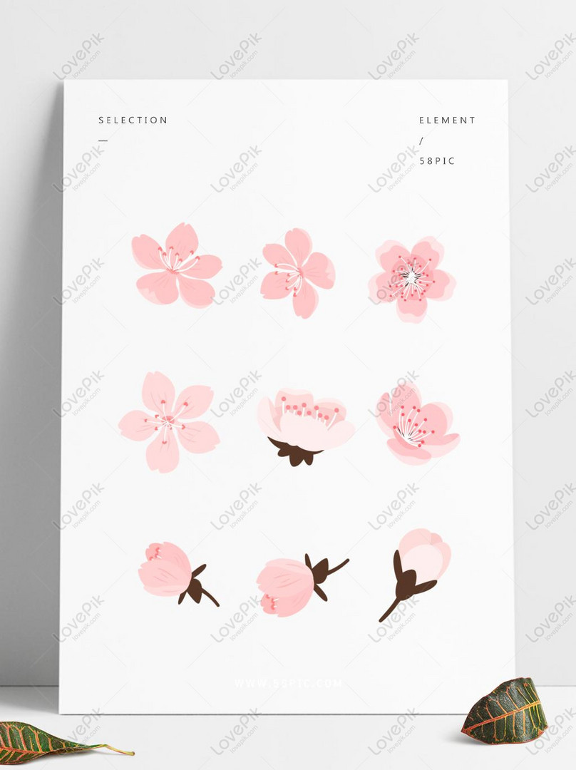 Download Gambar  Bunga  Sakura Untuk  Digambar 