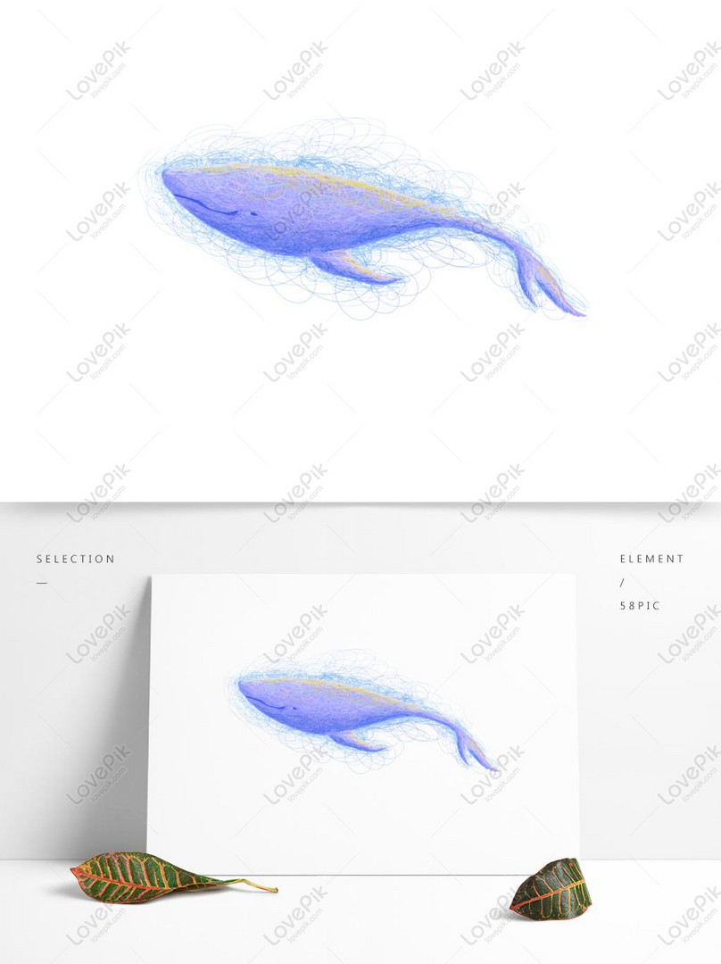  Gambar  Ikan Estetik  Gambar  Ikan HD