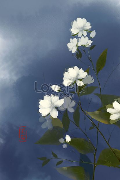 Ý nghĩa của hoa lài - Vẻ đẹp mắt của mùi thơm trong sáng – sonice vn